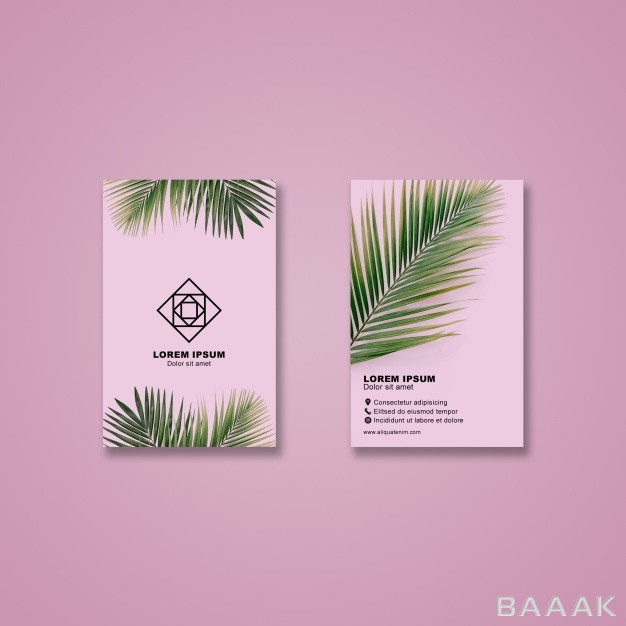 کارت-ویزیت-جذاب-Business-card-mockup-with-tropical-leaves_413510632
