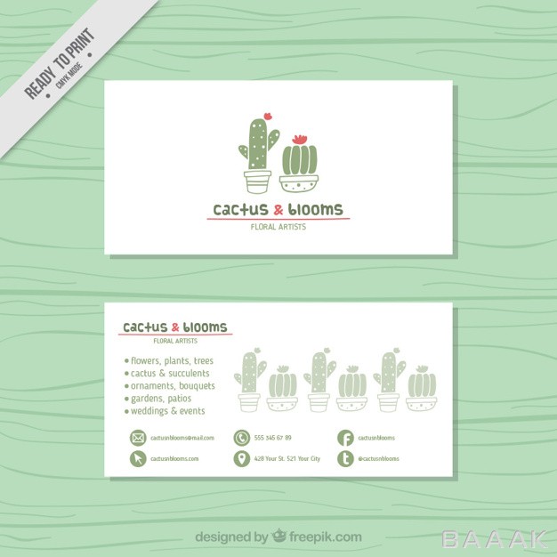 کارت-ویزیت-خلاقانه-Business-card-with-hand-drawn-cute-cactus_226113398