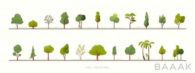 ست-زیبا-از-درخت-های-مختلف-برای-الکان-های-پارک-و-جنگا_157600538