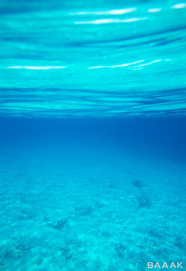 تصویر-نمای-زیر-آب-از-دریای-آرام-و-خالی_631654437
