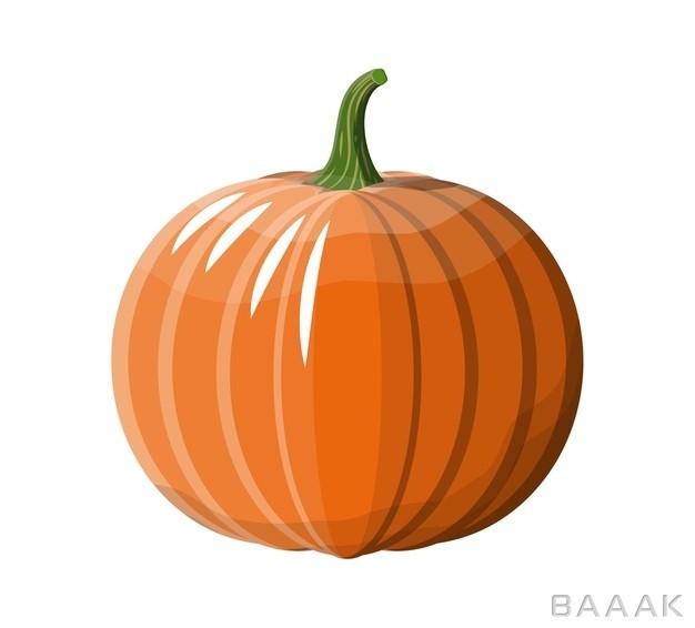 تصویر-کدو-نارنجی-برای-هالووین-با-پس-زمینه-سفید_549684041