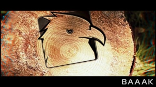 pic-name