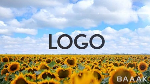 pic-name